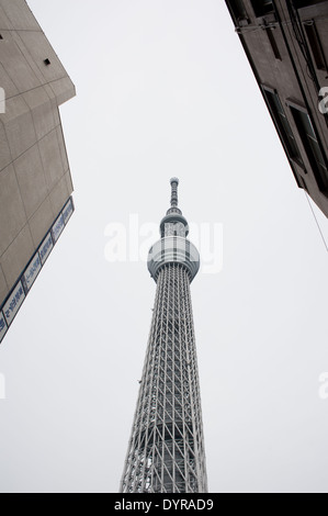 Skytree Tower, Tokyo, Giappone Foto Stock