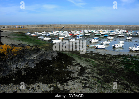 Binic porto vicino Saint-Brieuc,Cotes-d'Armor,Bretagne,Brittany,Francia Foto Stock