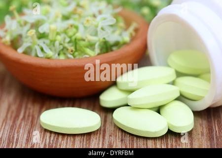 Pillole fatte da medicinali fiore neem Foto Stock