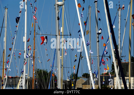 Paimpol ,porto,classico canale regata,Cotes-d'Armor,Bretagne,Brittany,Francia Foto Stock