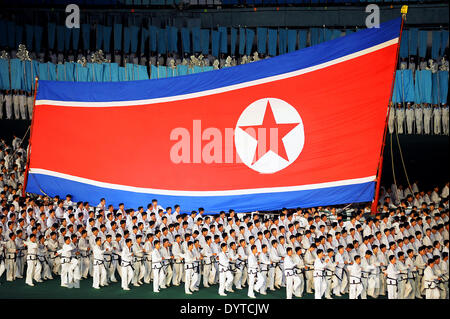 North Korean Taekwondo Foto Stock