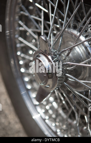 Un filo ruota a raggi in un trionfo di auto sportive Foto Stock