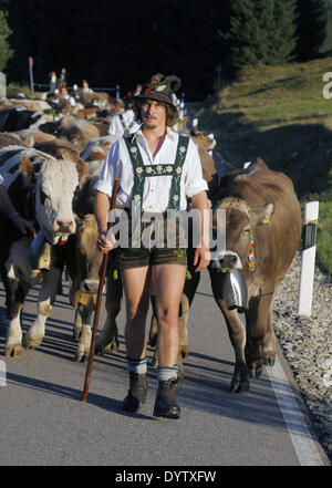 La Viehscheid (ritorno delle mucche dai loro pascoli estivi) Foto Stock