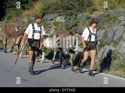 La Viehscheid (ritorno delle mucche dai loro pascoli estivi) Foto Stock