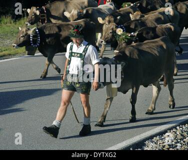 La Viehscheid (ritorno delle mucche dai loro pascoli estivi) Foto Stock