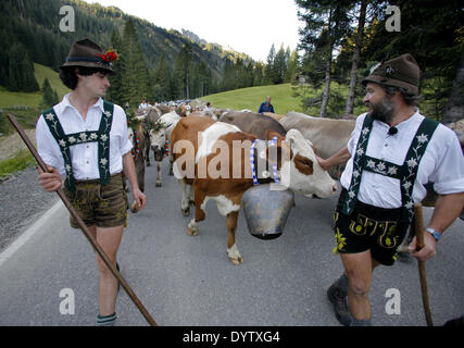 La Viehscheid (ritorno delle mucche dai loro pascoli estivi) Foto Stock