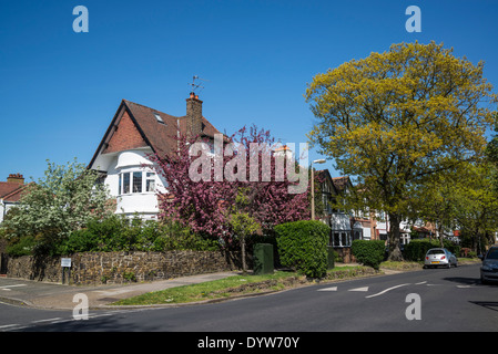 Suburban street in Strawberry Hill, London Borough of Richmond, Regno Unito Foto Stock