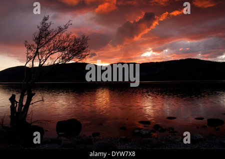 Incendio di foresta al tramonto sul Loch Ness Foto Stock