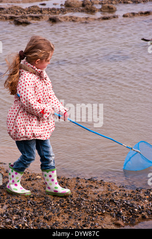 Vista laterale di un 5 anno di età del bambino Rockpools Pesca con una rete da pesca Foto Stock