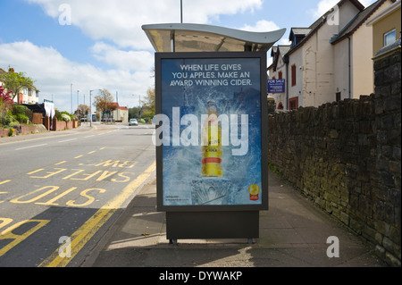 Il Carling sidro cartelloni pubblicitari sul bus shelter sito in Newport South Wales UK Foto Stock