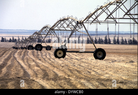 Un moderno ruota rotante tipo irrigatore al lavoro sul DINA fattorie di Egitto, una fattoria nel deserto si trova in TRA IL CAIRO ed ALESSANDRIA, Foto Stock