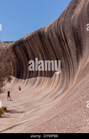 Wave Rock. Questa incredibile formazione rocciosa naturale nei pressi di Hyden in Australia Occidentale assomiglia a un'onda oceanica. Foto Stock