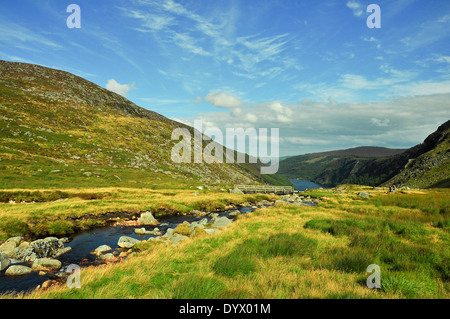 Ruscello di montagna nella contea di Wicklow, Irlanda Foto Stock