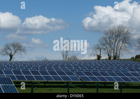 Un nuovo grande fattoria solare in Cornovaglia Foto Stock