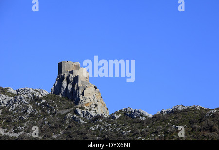 Queribus castello situato nel comune di Cucugnan. In Corbieres, Aude, Languedoc Roussillon, Francia Foto Stock