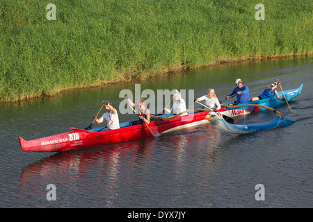 Le donne si allenano in canoa Outrigger nel fiume Hanalei, sulla sponda nord di Kauai. Outrigger canoa paddle è lo sport della squadra di stato hawaiana. Foto Stock