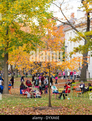 Harvard Yard, il cuore antico della Harvard University campus, su una bella cascata di giorno in Cambridge, MA, Stati Uniti d'America il 2 novembre 2013. Foto Stock