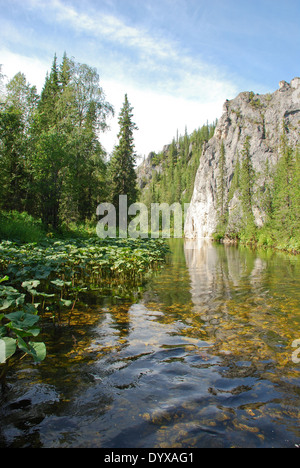 Scogliere sulle rive del fiume. Foresta vergine di Komi, taiga nella cresta Chernyshov. Foto Stock