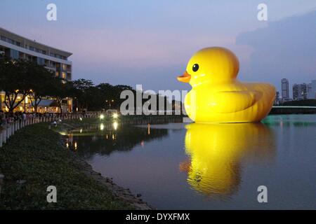 (140427) -- HO CHI MINH CITY, 27 aprile (Xinhua) -- Foto scattata il 26 aprile 2014 illustra il gigante rubber duck nel Phu My Hung area residenziale di Ho Chi Minh (HCM) City, Vietnam. Una 18-metro-tall rubber duck, che ha affascinato la gente in tutto il mondo, saranno visualizzate in Crescent Lake nel Phu My Hung area residenziale di HCM city dal 27 aprile al 31 maggio, i media locali hanno riferito sabato. Progettato da artista olandese Florentijn Hofman, il rubber duck ha iniziato un tour denominato "ampliamento gioie del mondo" nel 2007. HCM City sarà il sedicesimo il luogo in cui è visualizzato. (Xinhua/Tao Jun) (dzl Foto Stock