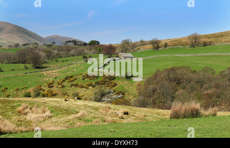 Paesaggio rurale in Cumbria, Nord Ovest Inghilterra con la fattoria su pendio Foto Stock