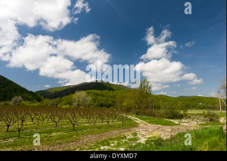 Ghiaia bianca strada sterrata Foto Stock