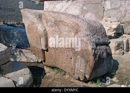 Ramesseum : il tempio funerario del faraone Ramses II il Grande(1303-1213 A.C. XIX dyn.). Rimanenti blocchi e statue del Re Foto Stock