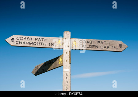 South West Coast Path segno posto a dare indicazioni al Golden Cap, Charmouth e Stonebarrow Hill, Dorset Foto Stock