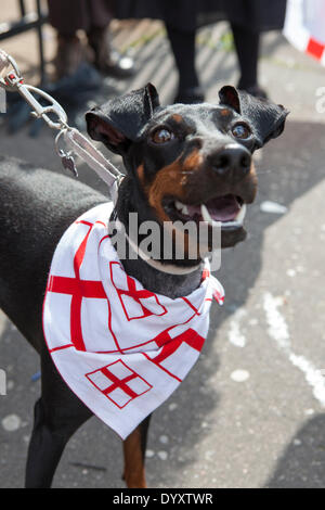 Manchester, Regno Unito 27 aprile, 2014. St George's weekend celebrazioni, una famiglia evento tenutosi in Albert Square e Piccadilly, con un'estensione dell'annuale St George parata e una joint venture per contribuire a celebrare l'Inghilterra del Santo Patrono con molte attività & performers. Manchester abbraccia i giorni quando entrambe le feste nazionali e parate hanno lo scopo di portare la città insieme e fornire Mancunians con un evento in cui le diverse identità nazionali vengono celebrati. Credito: Cernan Elias/Alamy Live News Foto Stock
