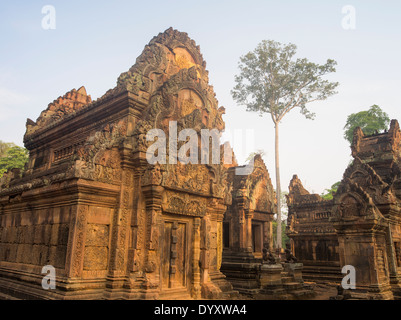 Il Banteay Srei tempio indù dedicato a Shiva. Siem Reap, Cambogia Foto Stock