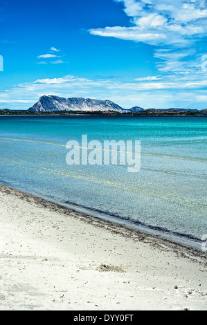 Vista dell'isola di Tavolara, Italia Foto Stock