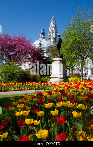 Municipio di Cardiff da Gorsedd Gardens con i tulipani in primo piano nella primavera del Cardiff South Wales UK Foto Stock