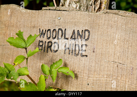 Gli uccelli di bosco nascondi segno Foto Stock
