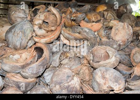 Gusci di noce di cocco in Thailandia di storage Foto Stock