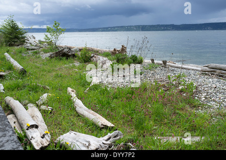 Squall proveniente in oltre Cama Beach State Park - Camano Island, isola County, Washington, Stati Uniti d'America Foto Stock