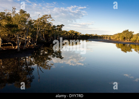 Appartato ancora ingresso sul fiume circondato da alberi con uno specchio di riflessione nel acqua e perfect blue sky Australia Foto Stock
