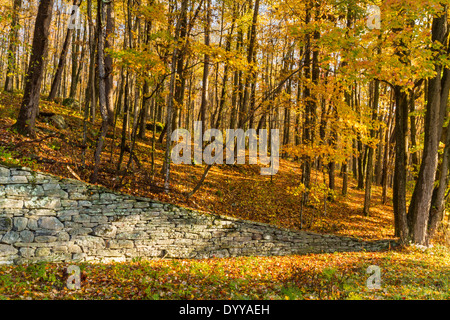 Un muro di pietra tra le foglie cadute in una foresta nelle Catskills Mountains montagne di New York Foto Stock
