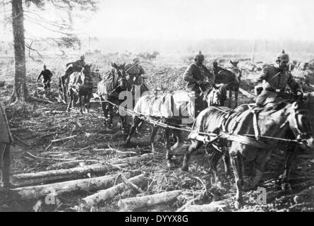 Tedesco treno di munizioni in marzo al Fronte Orientale, 1917 Foto Stock