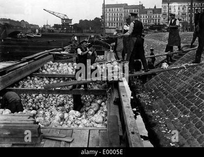 Un shipload di cavolo a Berlino, 1914 Foto Stock