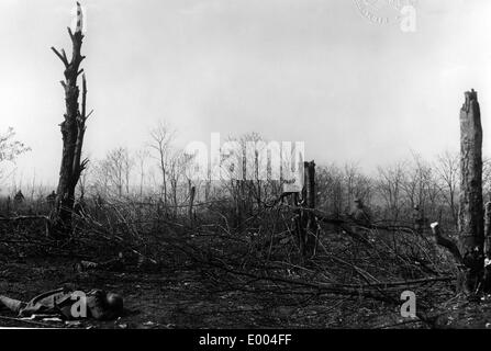 Campo di battaglia sul fronte occidentale, 1916 Foto Stock