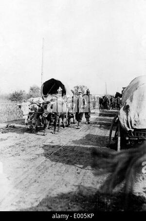 Treno tedesco veicolo in Serbia, 1916 Foto Stock