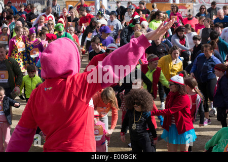 CARDIFF REGNO UNITO Marzo 2014 - Cheerleader riscaldamento fino ai partecipanti per lo Sport gara di sfiato Foto Stock