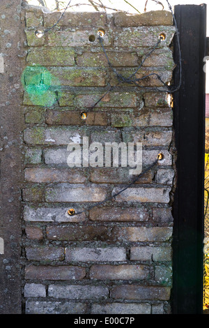 Protezione parete in mattoni e rabboccato con filo spinato Foto Stock