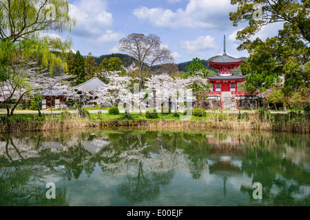 Daikoku-ji il tempio di Kyoto, Giappone. Foto Stock