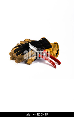 Secateurs e guanti da giardinaggio. Foto Stock