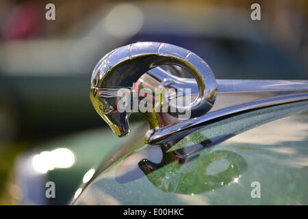 Floral Park, New York, Stati Uniti Xxvii Aprile, 2014. Un verde metallizzato 1953 Dodge, con il cromo stilizzata Ram ornamento cappa illustrata in dettaglio, è esposto al trentacinquesimo antichi annuale Auto Show at Queens Farm. Credito: Ann e Parry/Alamy Live News Foto Stock