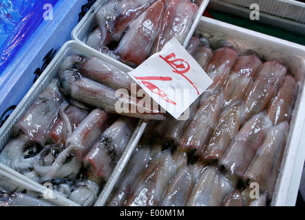 La Tokyo Metropolitan Central Wholesale Market, comunemente noto come il mercato Tsukiji Foto Stock