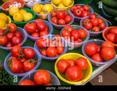 Righe parallele di colore rosso brillante pomodori e arance in vendita in plastica blu e giallo bocce Foto Stock