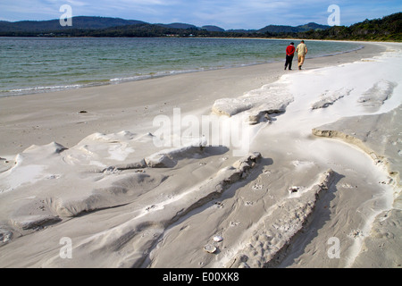 Spiaggia Bianca, su Tasmania, la Penisola Tasman Foto Stock