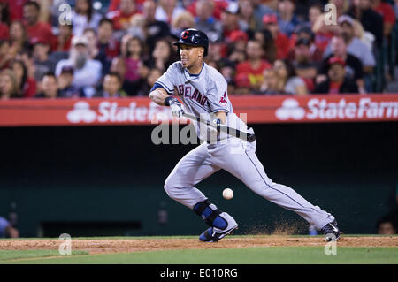 Anaheim, CA, Stati Uniti d'America. 28 apr 2014. Aprile 28, 2014 - Anaheim, CA, Stati Uniti d'America - Cleveland Indians sinistra fielder Michael Brantley (23) bunts durante la partita MLB tra Cleveland Indians e Los Angeles Angeli alla Angels Stadium di Anaheim, CA. Credito: csm/Alamy Live News Foto Stock