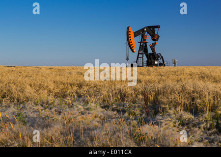 Un olio pompa di produzione jack nel gioco Bakken, olio di depositi di campo vicino a Stoughton, Saskatchewan, Canada. Foto Stock